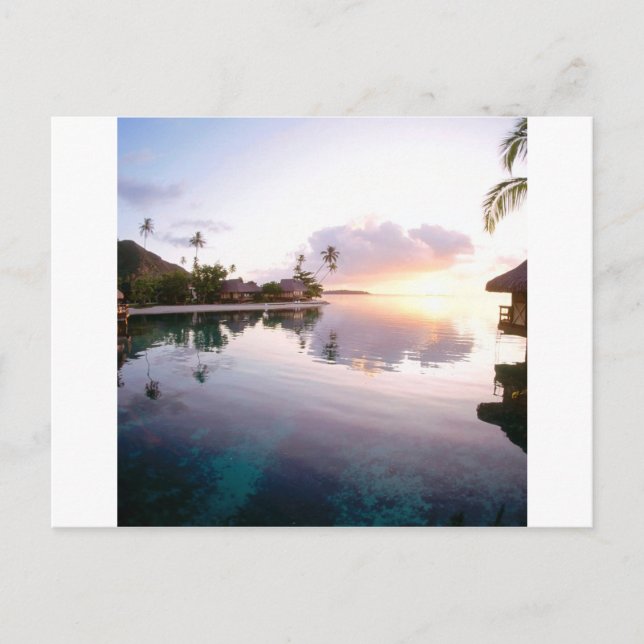 Sunrise Palmilla Coast Cabo San Lucas Mexico Postcard (Front)