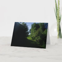 "Sunrise Pasture Path" Get Well Card