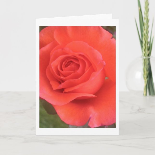 Sunrise Peach Rose Flower Greeting or Note Cards (Front)