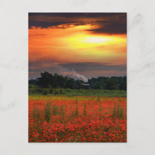 Sunrise Poppy Field And Steam Locomotive Postcard