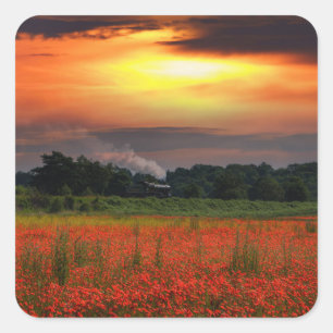 Sunrise Poppy Field And Steam Locomotive Square Sticker