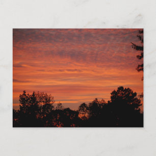 Sunrise Postcard
