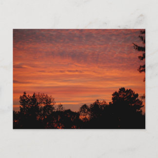 Sunrise Postcard