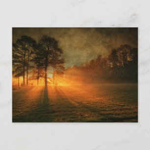 Sunrise Postcard