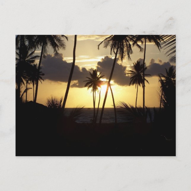 Sunrise Postcard (Front)