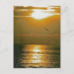 Sunrise Postcard