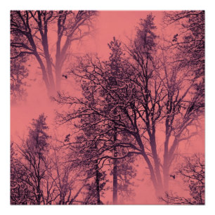 Sunrise.. Poster