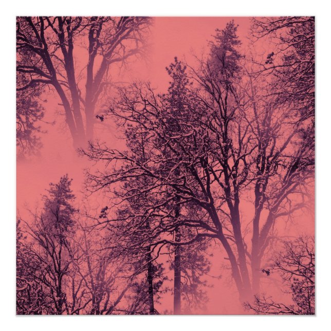 Sunrise.. Poster (Front)