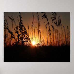 Sunrise Poster