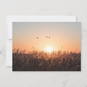 Sunrise Reed Nature Photo Card