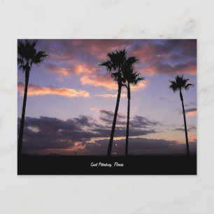 Sunrise, Saint Petersburg, Florida postcard