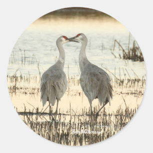 Sunrise Sandhill Crane pair Classic Round Sticker