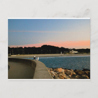 Sunrise Seagulls Postcard