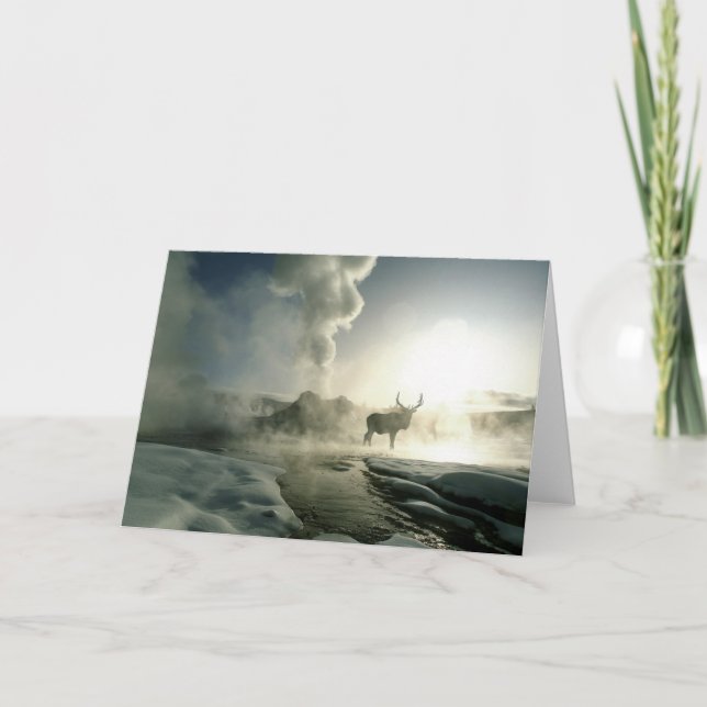 Sunrise Silhouette of Elk at Castle Geyser Card (Front)
