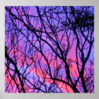 Sunrise Silohuette Poster