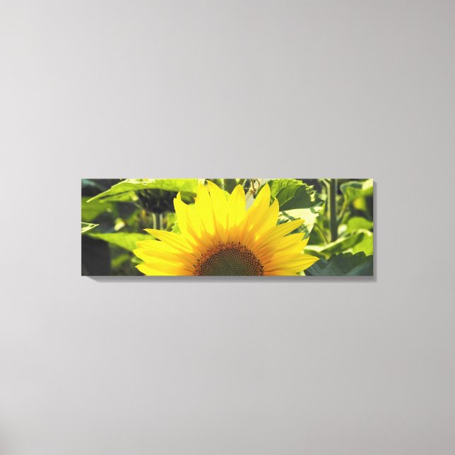 Sunrise Sunflower Canvas Print (36X12) (Front)
