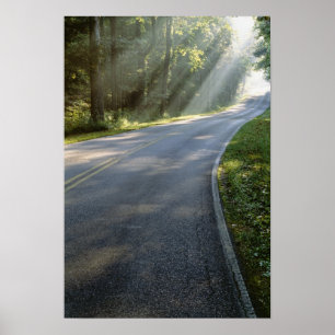 Sunrise through fog alongside Green River Poster