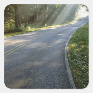 Sunrise through fog alongside Green River Square Sticker