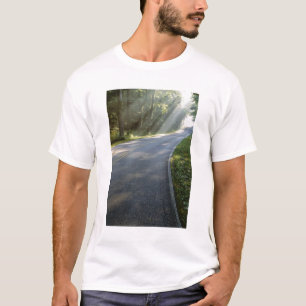 Sunrise through fog alongside Green River T-Shirt