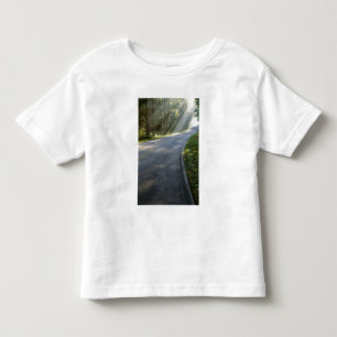 Sunrise through fog alongside Green River Toddler T-Shirt