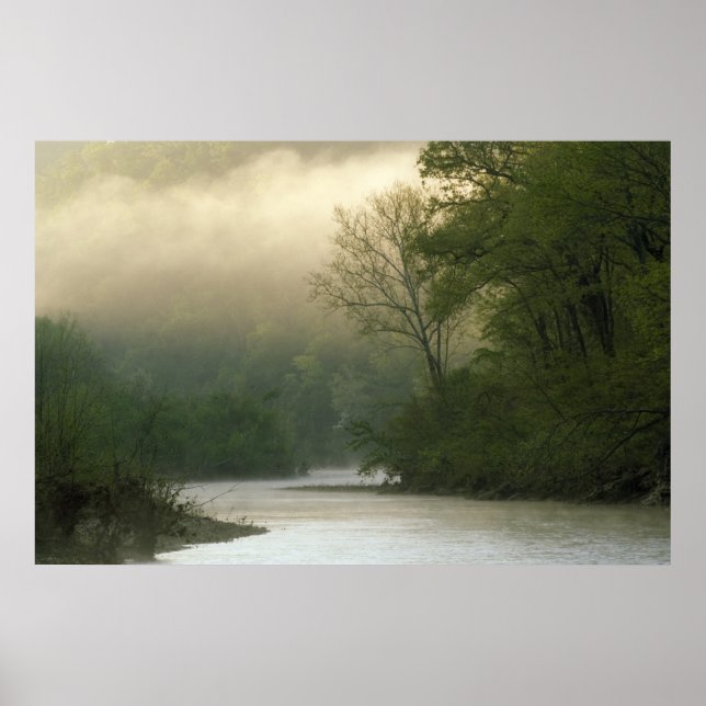 Sunrise through fog viewed from Red Bluff, Poster (Front)