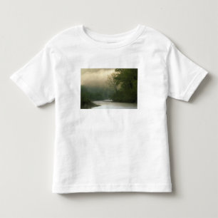 Sunrise through fog viewed from Red Bluff, Toddler T-Shirt