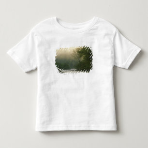 Sunrise through fog viewed from Red Bluff, Toddler T-Shirt