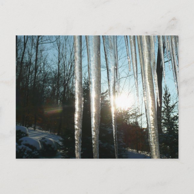 Sunrise Through Icicles Winter Nature Photography Postcard (Front)