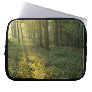 Sunrise through oak and hickory forest, Mammoth Laptop Sleeve