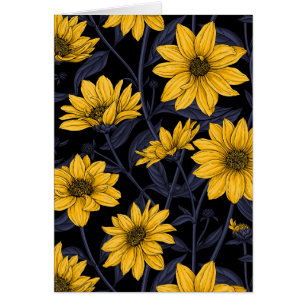 Sunroot, wild sunflower in yellow and blue