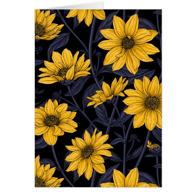 Sunroot, wild sunflower in yellow and blue (Front)