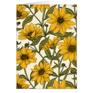 Sunroot, wild sunflower on off white
