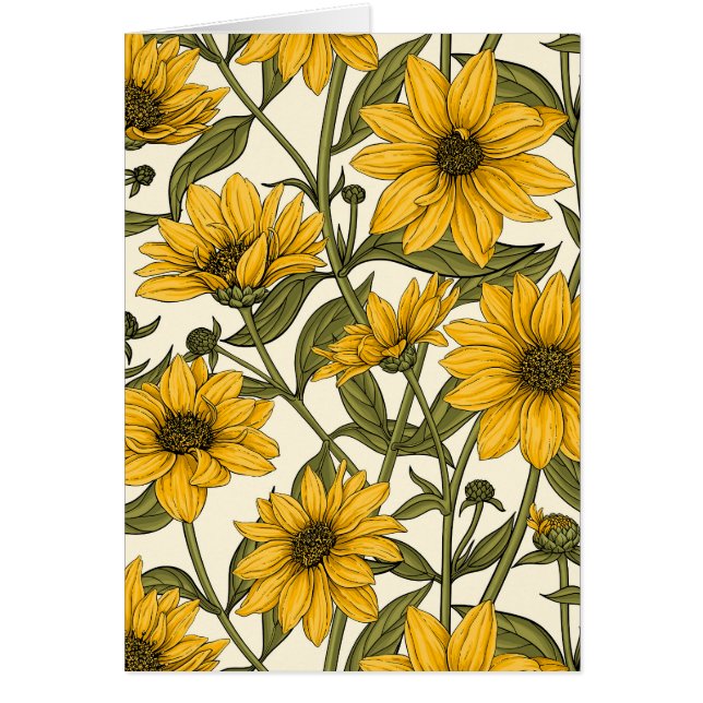Sunroot, wild sunflower on off white (Front)