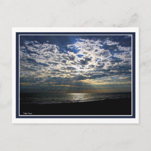 Sun's Rays Postcard