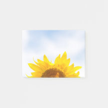 Sun's Up Sunflower Notes