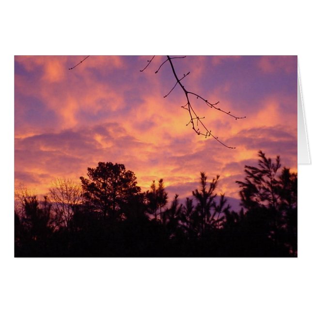 Sunset (Front Horizontal)