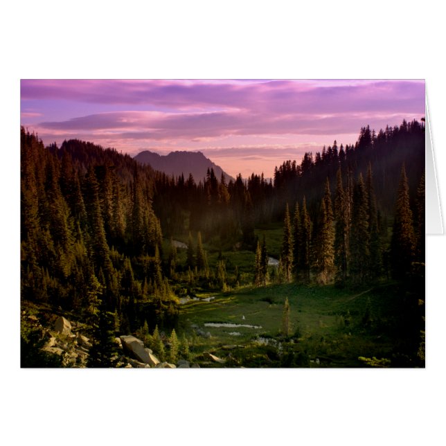 Sunset (Front Horizontal)