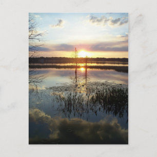Sunset 172 Florida Post Card