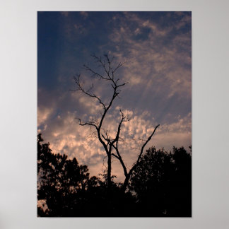 Sunset 18 poster