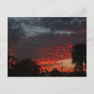 Sunset #2 postcard