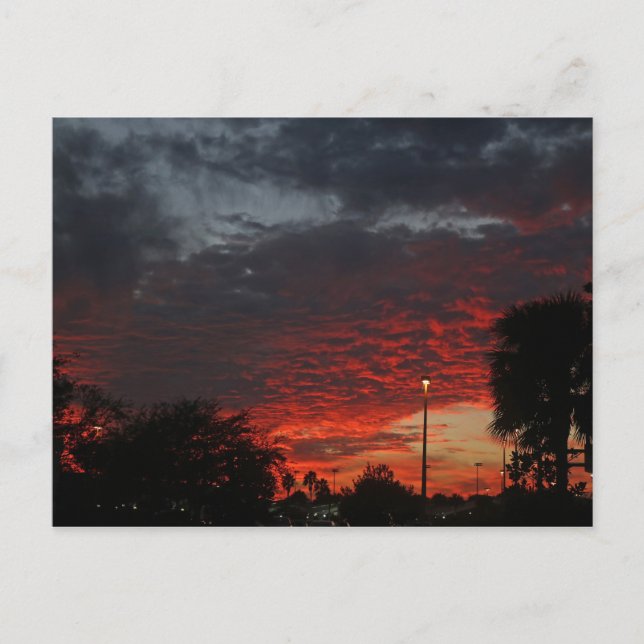 Sunset #2 postcard (Front)