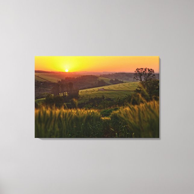 Sunset Agriculture Wheat Canvas Print (Front)