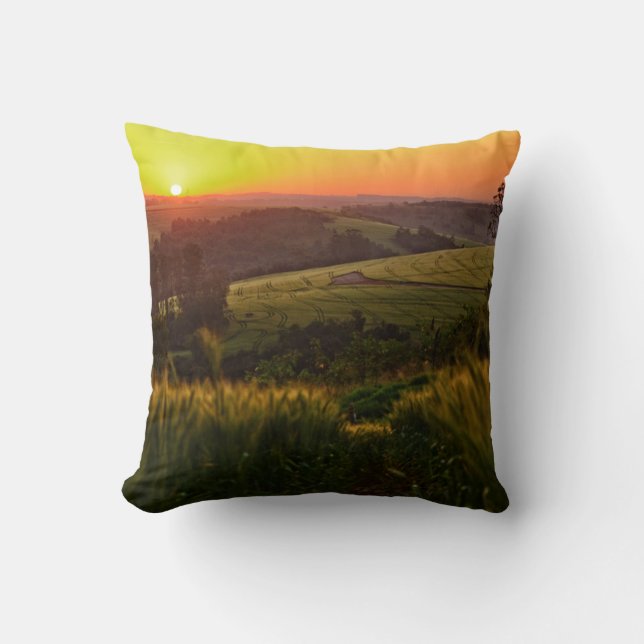 Sunset Agriculture Wheat Cushion (Front)