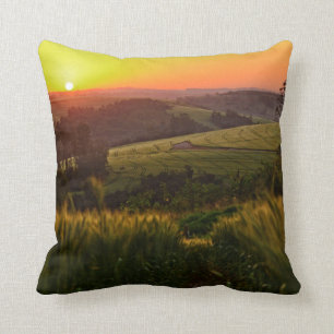 Sunset Agriculture Wheat Cushion