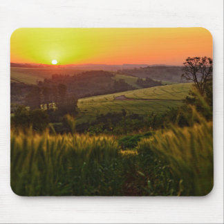 Sunset Agriculture Wheat Mouse Mat