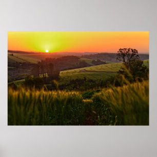 Sunset Agriculture Wheat Poster