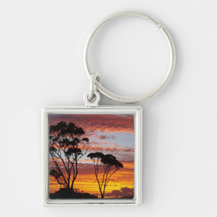 Sunset and Gum Tree, Binalong Bay, Bay of Fires, Key Ring