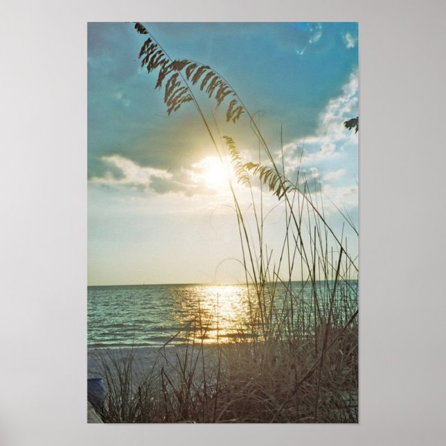 Sunset and sea oats poster (Front)