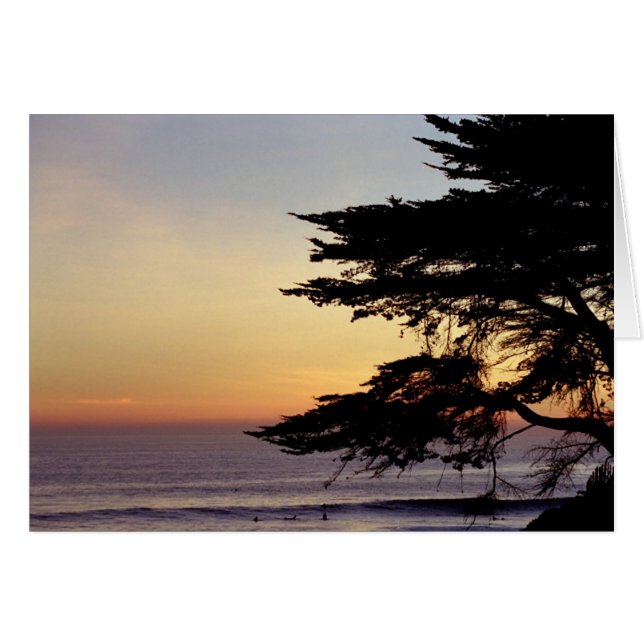Sunset and Tree, Santa Cruz (Card) (Front Horizontal)