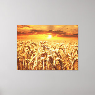 Sunset and Wheat Field Canvas Print